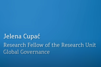 Jelena Cupac WZB Video